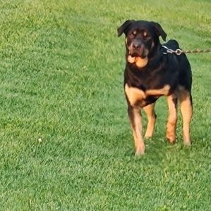 Meet your Posher, Briana